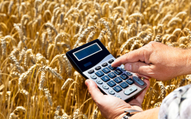 Правительство России утвердило перечень сельхозпродукции для расчета через спецсчета