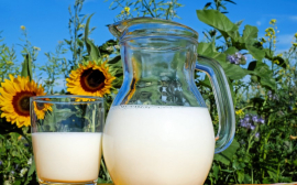 Экономист Беляев спрогнозировал подорожание молочной продукции в России