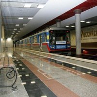Московский метрополитен выделит 10 миллионов рублей на борьбу с грызунами