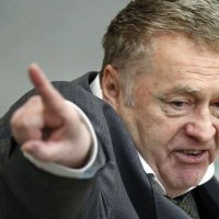 Жириновский возглавит список ЛДПР на выборах в гордуму Краснодара и других регионов