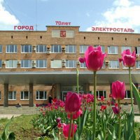 В городском округе Электросталь состоялось голосование за кандидатов на выборы в городской Совет депутатов