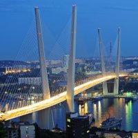 Во Владивостоке суд запретил пешеходам пешком переходить Золотой мост