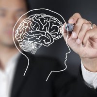 Ученые создали копию человеческого мозга