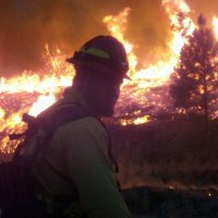 В США во время тушения лесных пожаров погибли три спасателя 