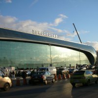В Москве мужчина скончался на взлетной полосе аэропорта Домодедово