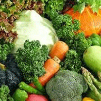В Подмосковье в новом году вырастят на 25% овощей
