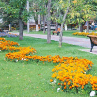 В 2016 году в Москве появятся пятьдесят новых парков
