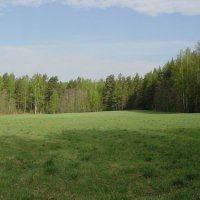 Буцаев: Все сельскохозяйственные земли Подмосковья возьмут в оборот до 2018 года