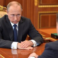 Глава Подмосковья обратился к Путину с просьбой провести лесную амнистию