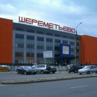 На ликвидацию свалки в Шереметьево выделили 1,4 млрд рублей