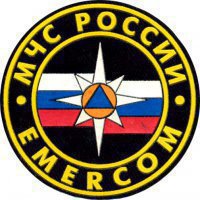 МЧС: Пострадавшим от пожаров регионам будет выделено 143 млн рублей