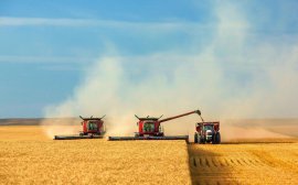 Минсельхоз планирует урожай зерновых на уровне не менее 100 млн тонн