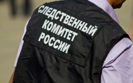 Следственный комитет задействует разработки технологий РАН для поиска преступников