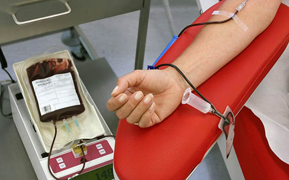 Российскими учеными разработан способ лечения рака с использованием крови донора