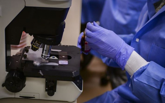 «МИСиС»: российские и итальянские учёные сумели ускорить автоматизированные микроскопы