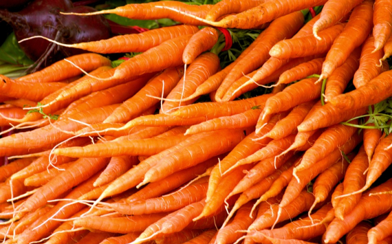 Медики: Регулярное употребление моркови снижает риск развития рака