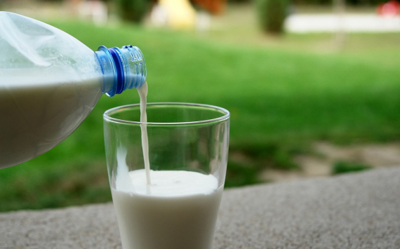 Подмосковье стало лидером по экспорту молока в 2018 году