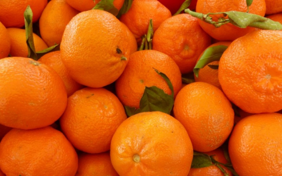 Египетский врач назвал полезные свойства мандаринов