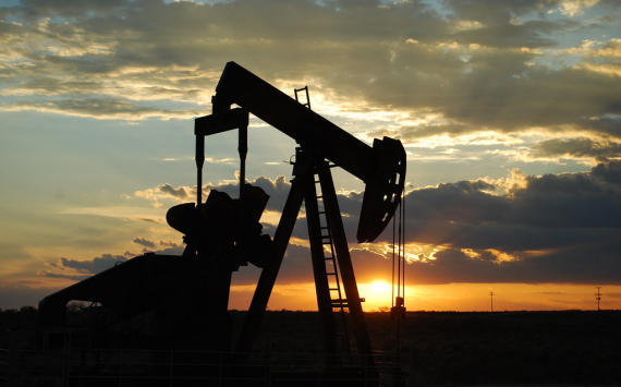 Федун анонсировал снижение нефтедобычи в России при условии сохранения низких цен