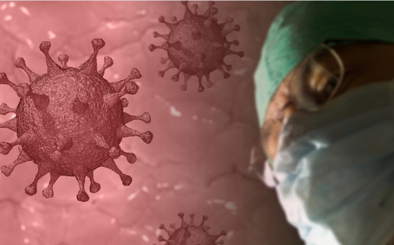 Эксперты усомнились в передаче коронавируса через еду