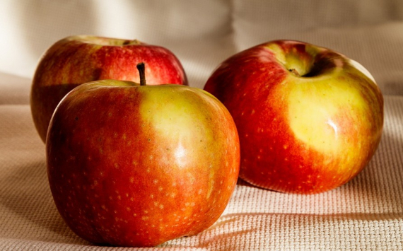 Медики рассказали о способности яблок сокращать риск болезней сердца у женщин