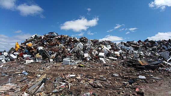 Раздельный сбор мусора позволит Подмосковью исключить захоронение 1,5 млн тонн отходов