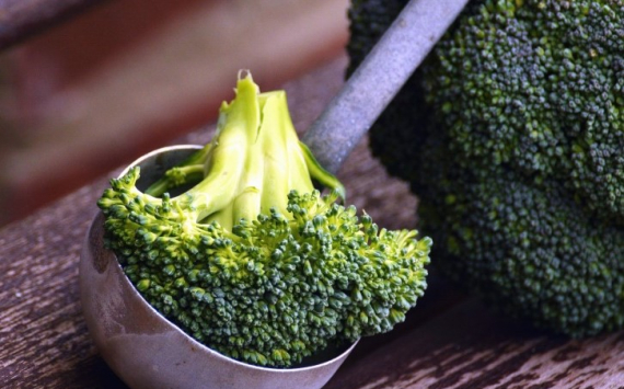 Доктор Мясников назвал самый полезный для профилактики рака овощ