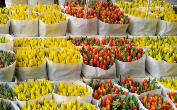 Производители цветочной продукции Московской области приняли участие в торгово-закупочной сессии