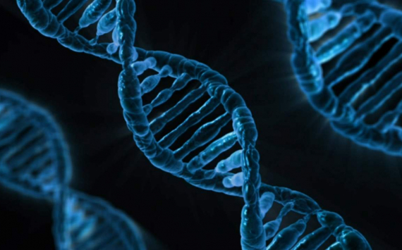 Ученые нашли у человека древние гены для защиты от рака