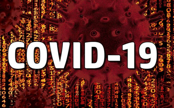 Вирусолог предупредила о бесполезности растирания тела спиртом при COVID-19