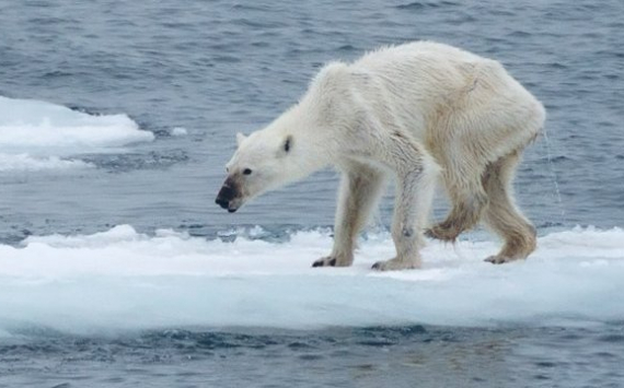 Минвостокразвития оценило грядущие потери от потепления в Арктике в 9 трлн рублей