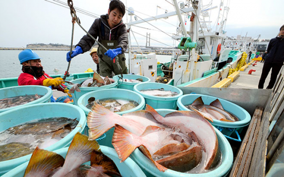 Правительство рассмотрит вопрос о поставках рыбы в Китай в условиях ограничений
