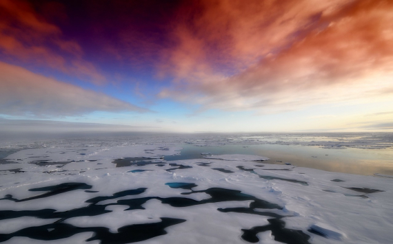 «Норникель» получил штраф в $ 2 млрд за нефтяную катастрофу в Арктике