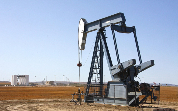 Чистая прибыль «Роснефти» в 2020 году упала почти на 80%