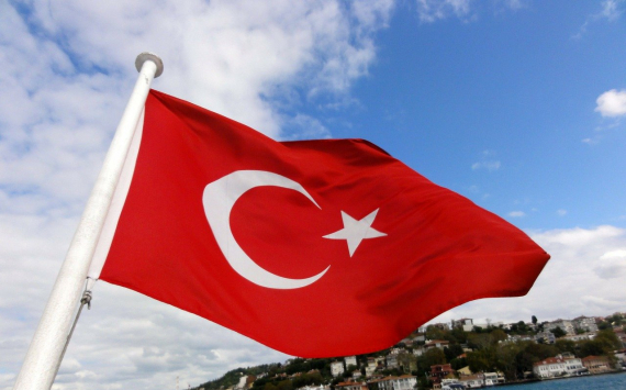 Россия заняла лидирующую позицию среди стран-импортеров Турции