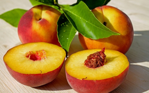 Медики перечислили пять причин для включения персиков в рацион