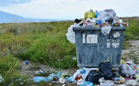 Минприроды выступило против переноса на 2 года реформы по утилизации отходов