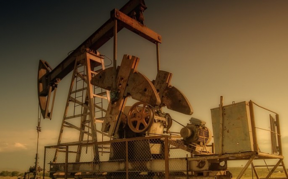 «Роснефть» запустила в Индии программу развития нефтехимического производства