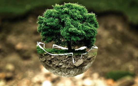 В Минэкономразвития предложили поддержать экологичные проекты субсидиями