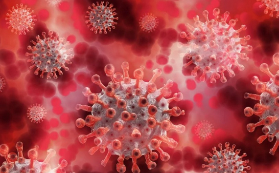 Биолог Гельфанд призвал опасаться современных вирусов и бактерий