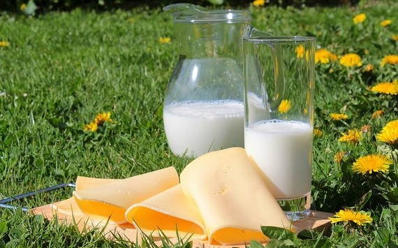 В Минсельхозе предупредили россиян о возможном подорожании молочных продуктов