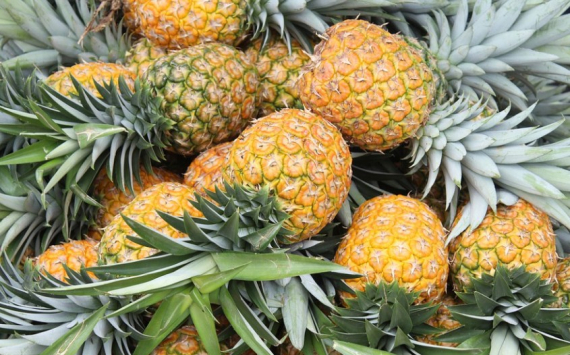 Диетолог Соломатина рассказала об опасности злоупотребления ананасом