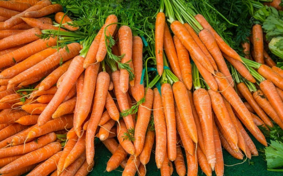 Медики рассказали о свойстве моркови снижать риск развития гипертонии