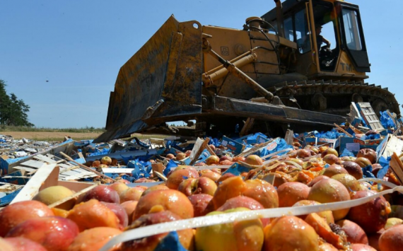 ЛДПР предлагает запретить уничтожение продуктов питания