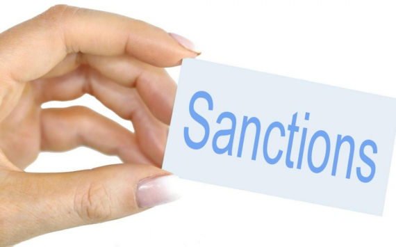 В Подмосковье санкции не стали помехой для бизнеса
