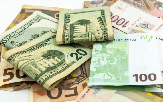Депутат Делягин поддержал идею валютного регулирования