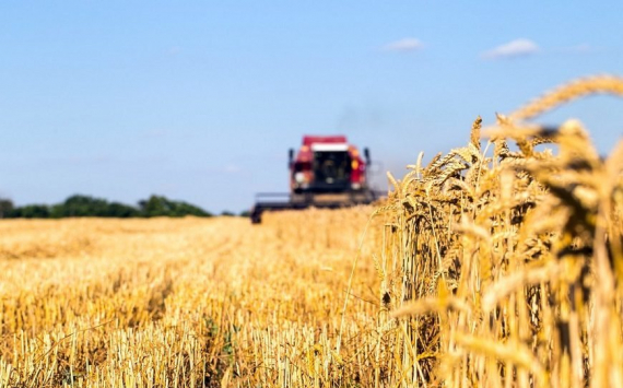 Эксперты отметили оживление спроса на пшеницу среди экспортеров