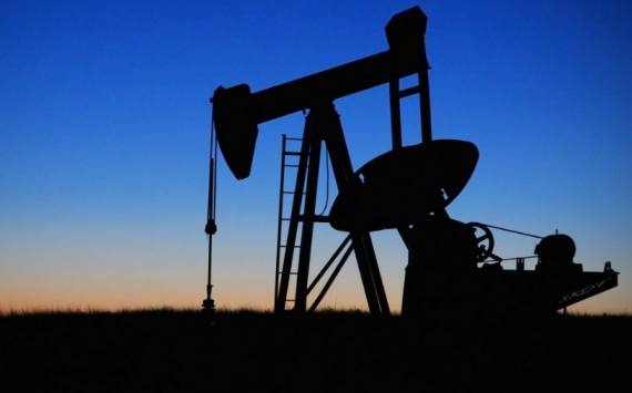 Экономист Колташов назвал новые санкции против РФ «публичной поркой» рынка нефти