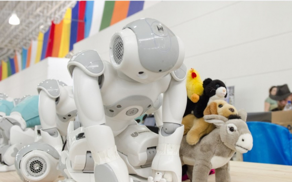 Гонноченко: Рынок робототехники в России страдает из-за поставок, недостатка инвестиций и «серого» импорта