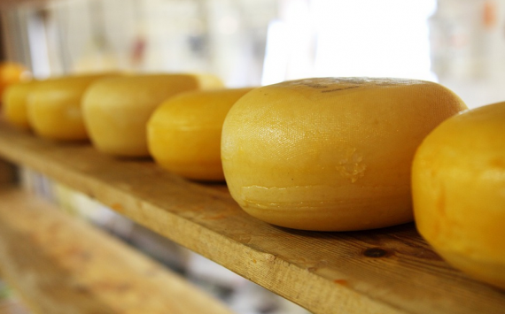 С начала года в России почти на четверть выросли цены на сыр